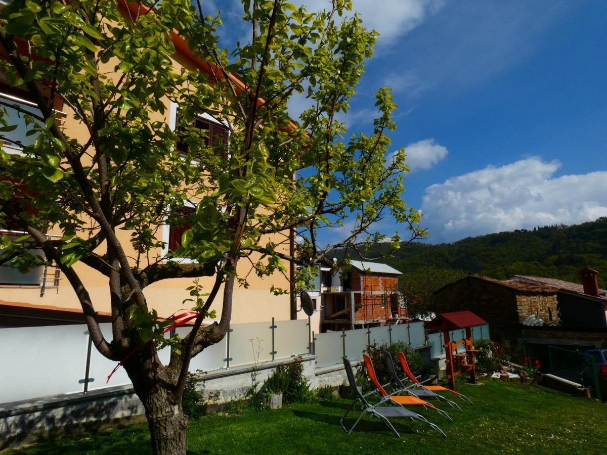 & Olive Oil Valuma * Koper